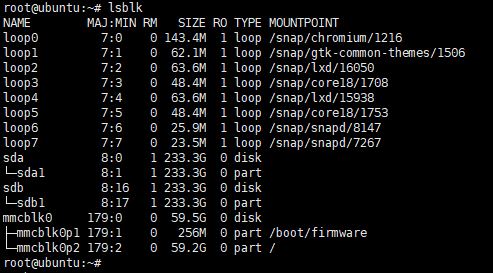 lsblk 查詢